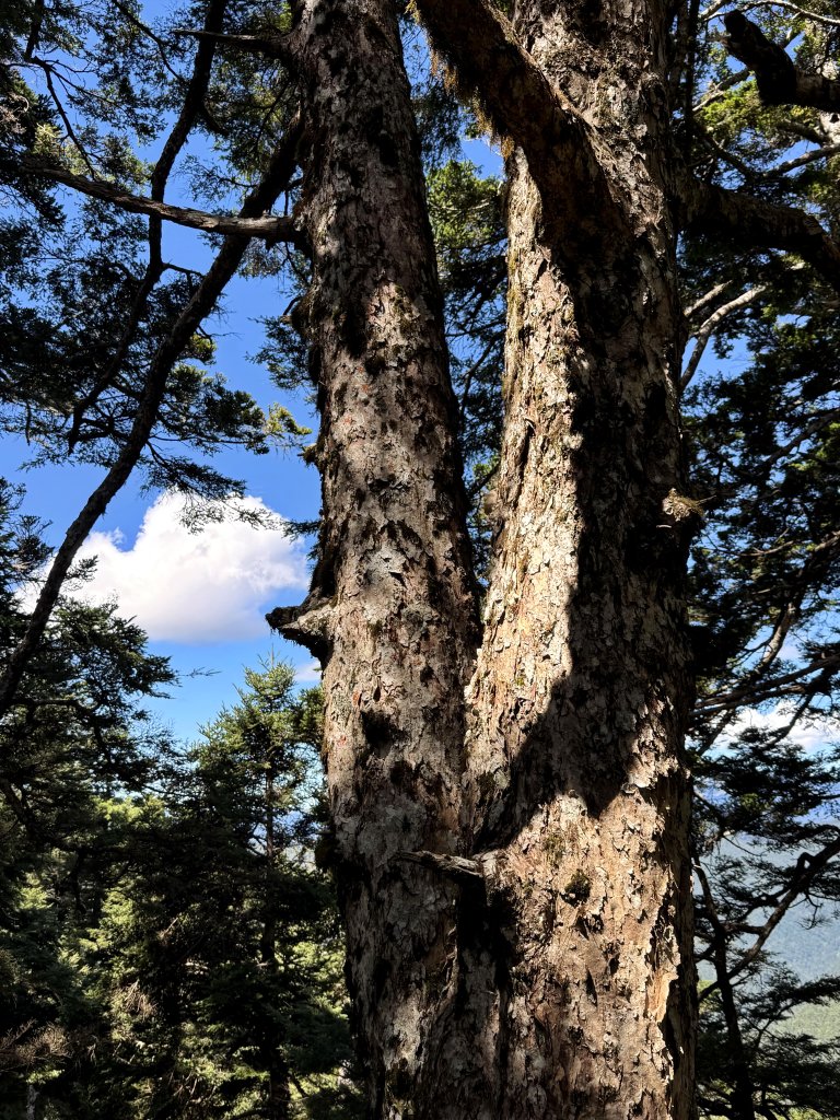 觀雲山莊經小完美谷上畢祿山O繞_2917196