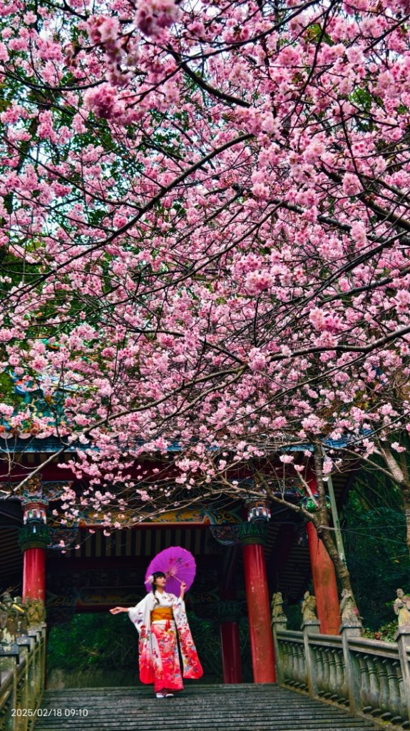 內湖碧山巖 2/18_2714796