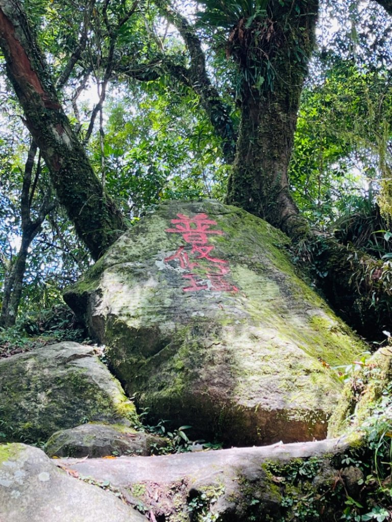 1120812都蘭山_2251700