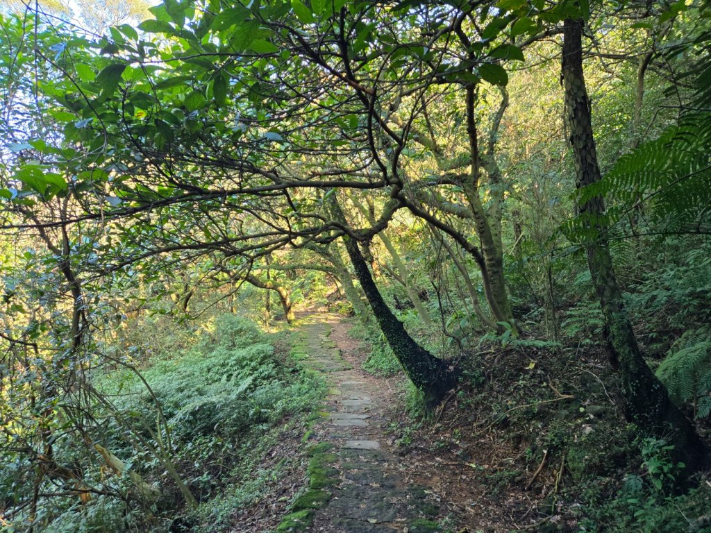 金包里大路（魚路古道）_2722293