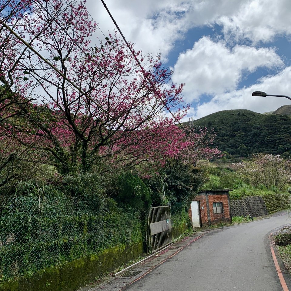 台北大縱走第二段_1634995