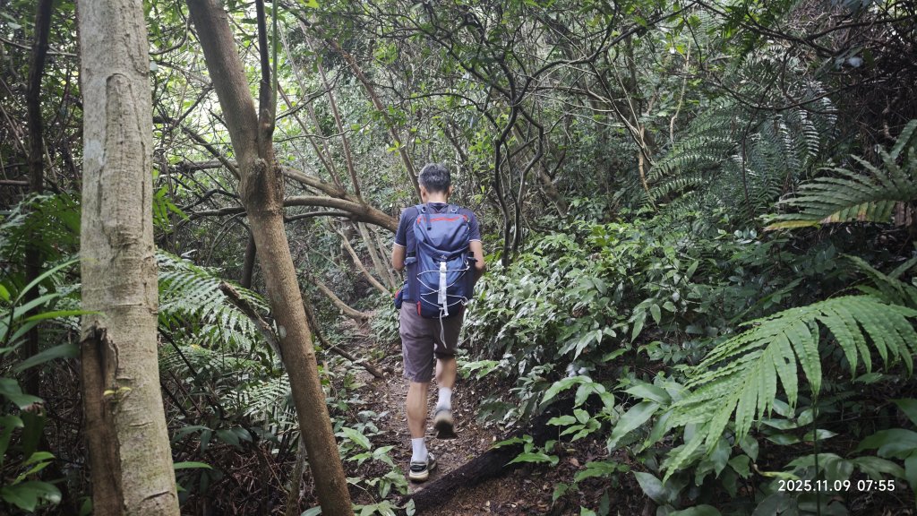20251109 士林站到大湖站(福山宮_腰繞_燕溪古道_翠山步道_龍船岩_大溝溪)_2932323