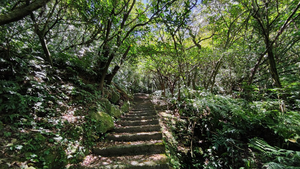 20220814金字碑_1807890