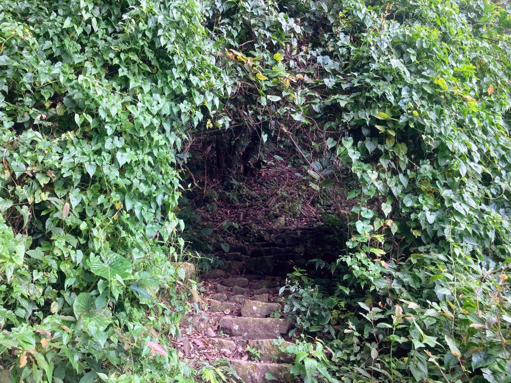 獨立山國家步道_2615904