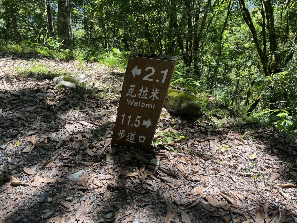 [玉山尋寶任務-03/12] 2025_0810 瓦拉米步道_2857773
