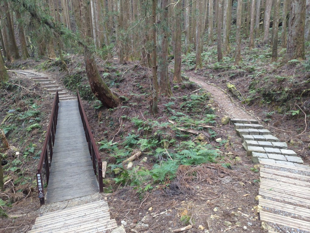 2026.02.14－特富野古道_3013708