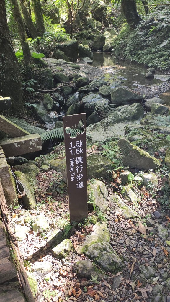 滿月圓_2938846