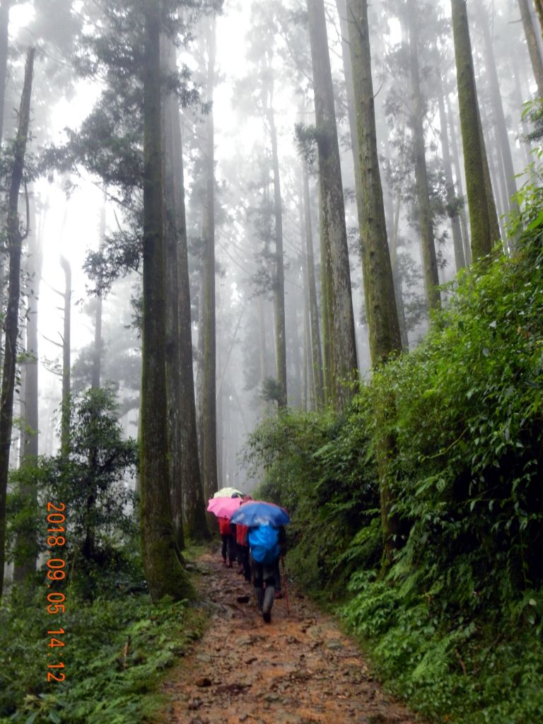 20180905奮起湖大凍山二萬坪_404421