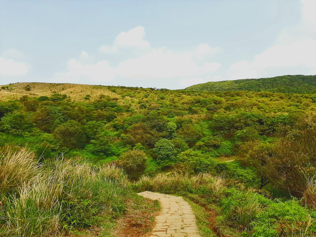 走遍陽明山：擎天崗系｜景遠心自闊，潺潺溪水聲洗去一身憂_2113939