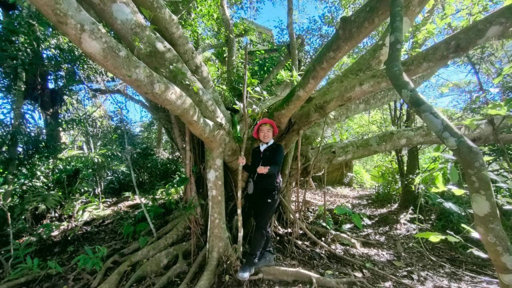 🌈2/15（六）白雲山+西阿里關山小百岳🌈FB：熊熊趴爬走 歡迎加入_2714939