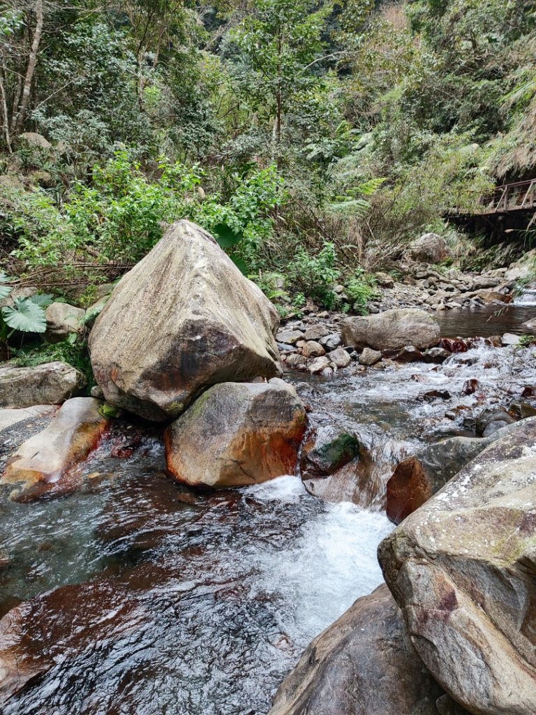 唐麻丹+蝴蝶谷_2707005