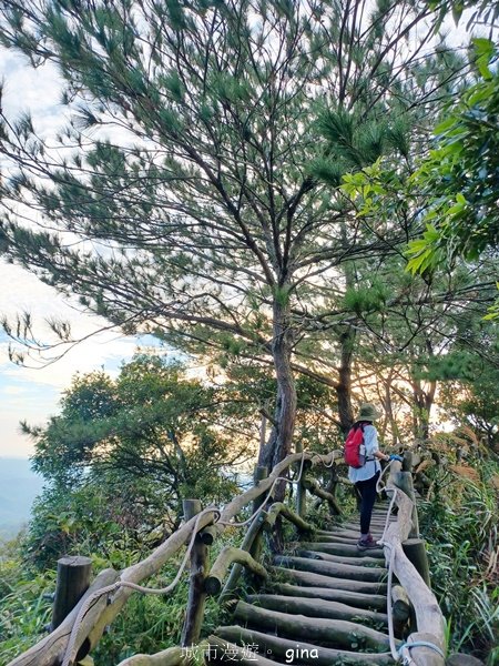 【台中北屯】第一次遇上大坑步道群起霧。 大坑三號步道_2695138