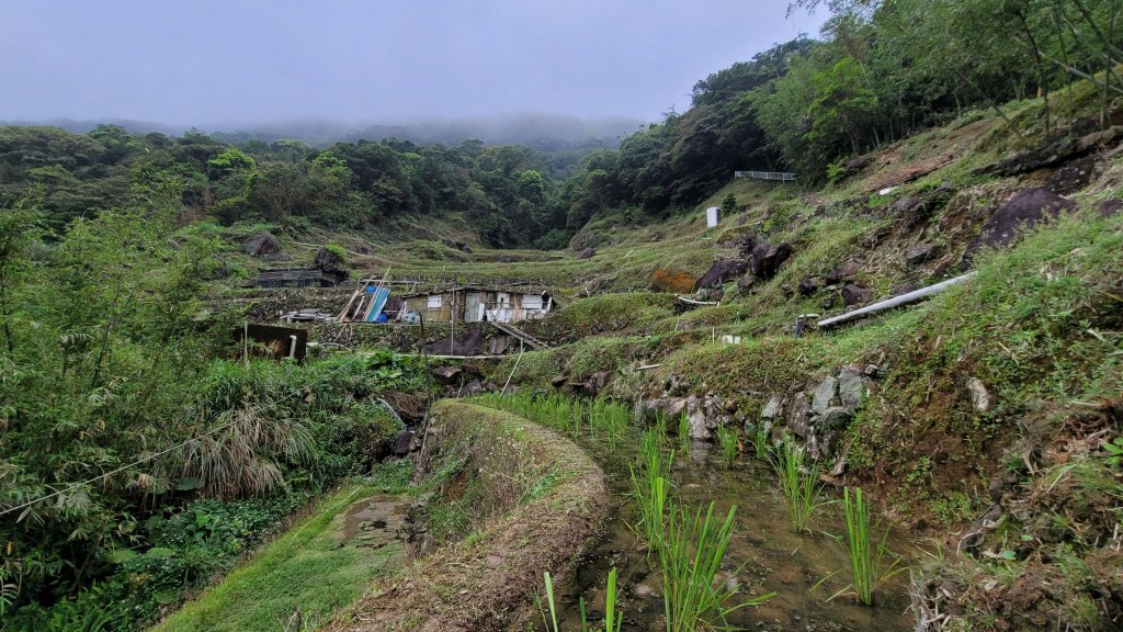 坪頂古圳步道封面圖