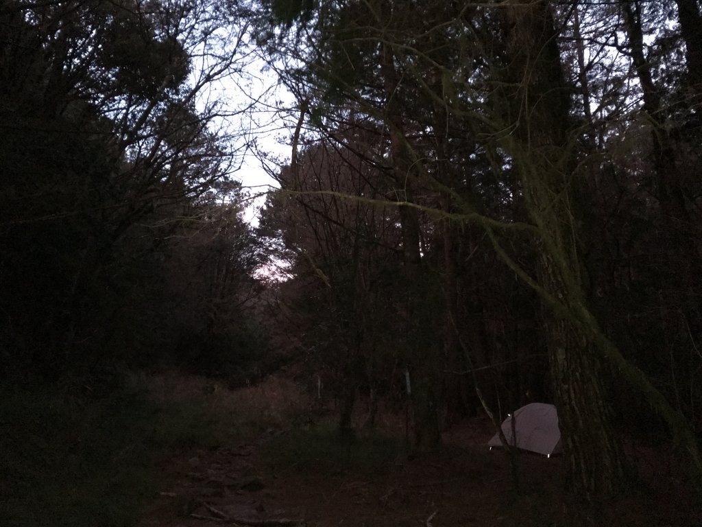 屏風山上奇萊北_892350