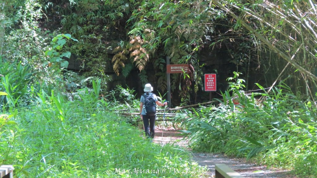 《南投》侏儸紀公園｜魚池澀水森林步道O繞20240629_2538500