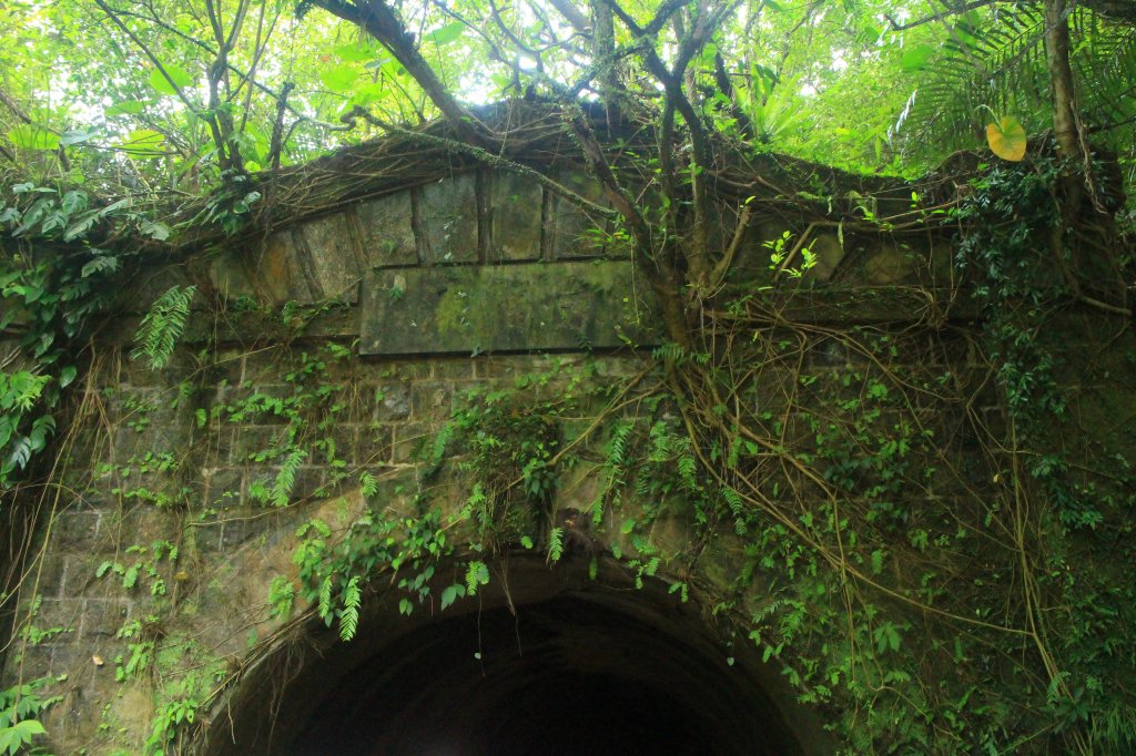 新北．三貂嶺友善生態隧道2023/08/08_2245823