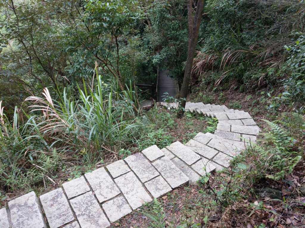 大溝溪步道--鯉魚山步道_817322