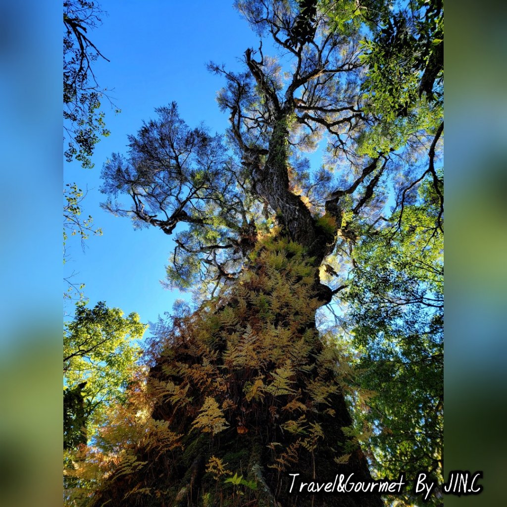 【羅馬沒有假期之重裝縱走】羅馬羅縱走_2039300