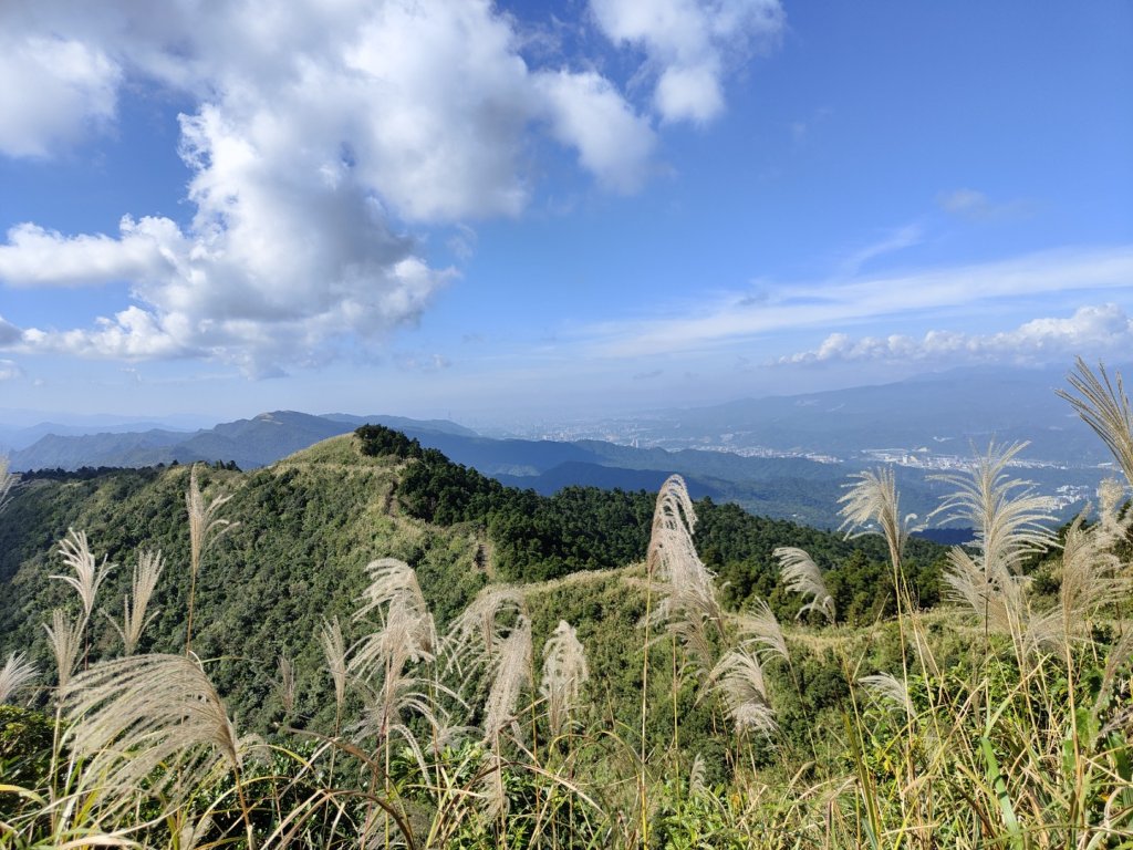 2023.11.23 五分山_2497155