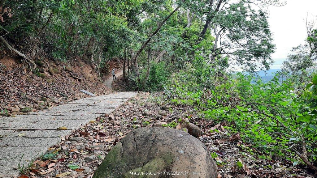 《苗栗》楓香林道｜頭份老崎古道（後花園步道）20250329_2748884