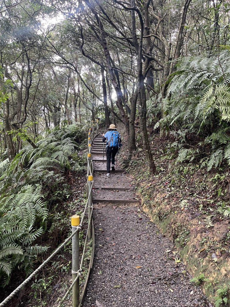 翠山步道 + 碧溪步道 + 大崙尾步道_2649942