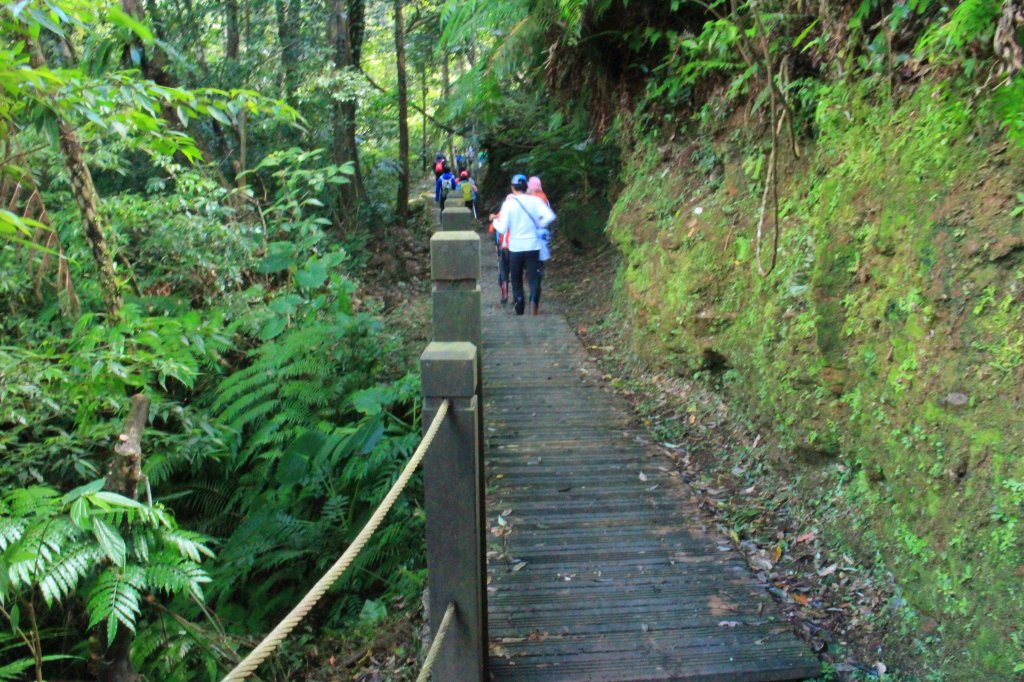 健行筆記望古嶺腳淨山活 20181028_445216