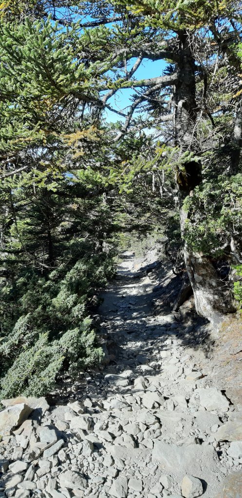 玉山前四峰之旅_869567