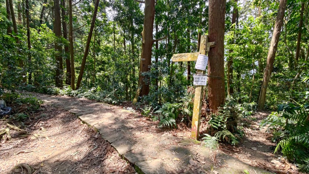 溪頭鳳凰山_2759182