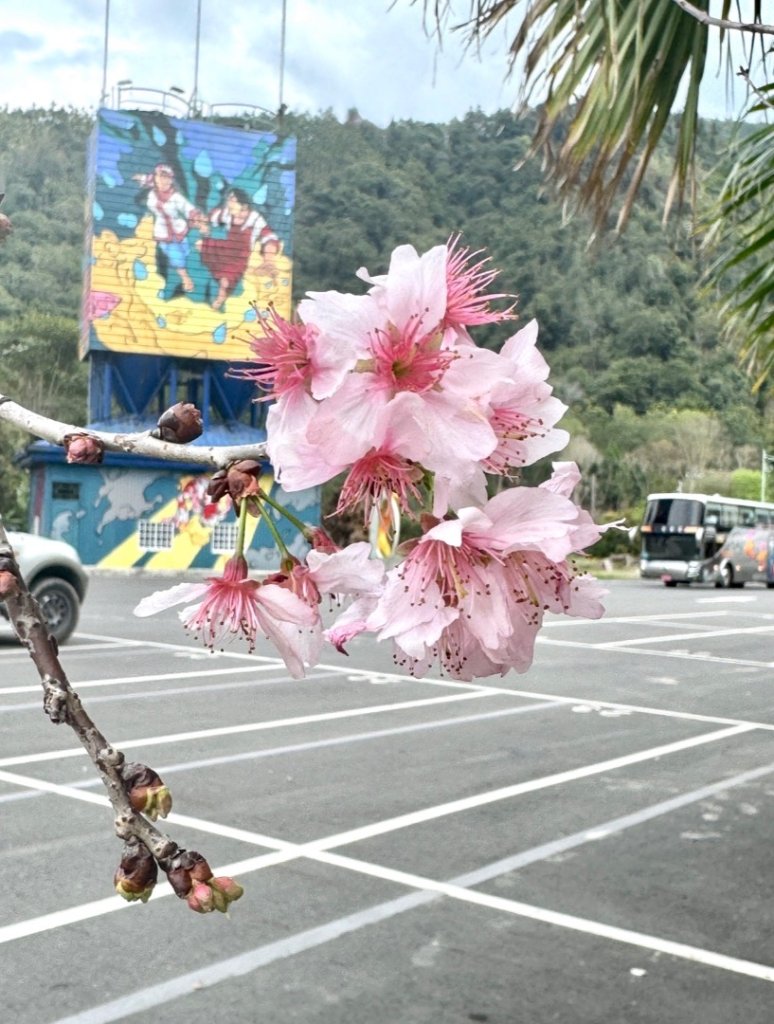 埔里地母廟哲學之路-天旨宮鰲頭山步道經犁頭尖山到鯉魚潭_3009780
