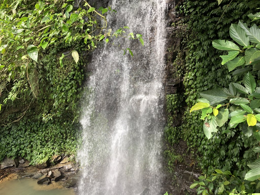 太興飛瀑步道_1733546