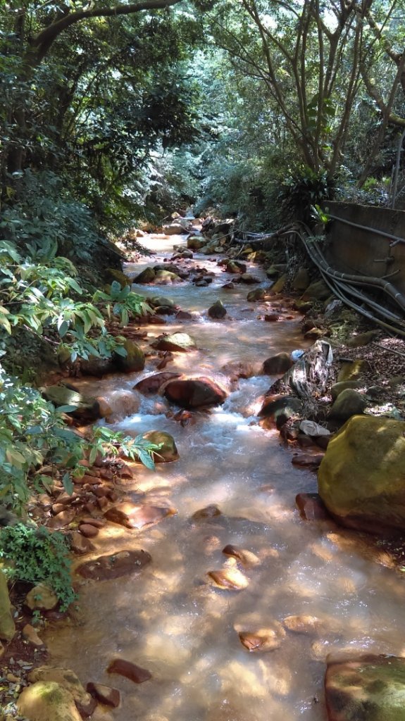 【臺北親山拓印趣】天母山天母古道白雲瀑布_918716