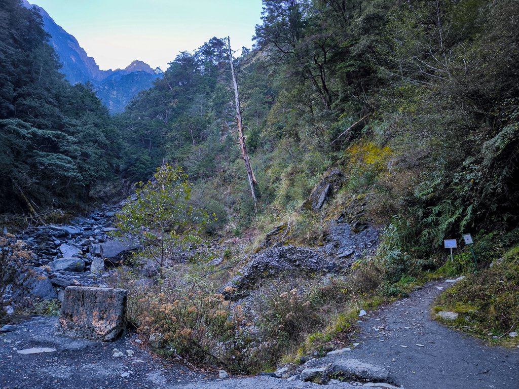 2026-02-09 庫哈諾辛山_2998827