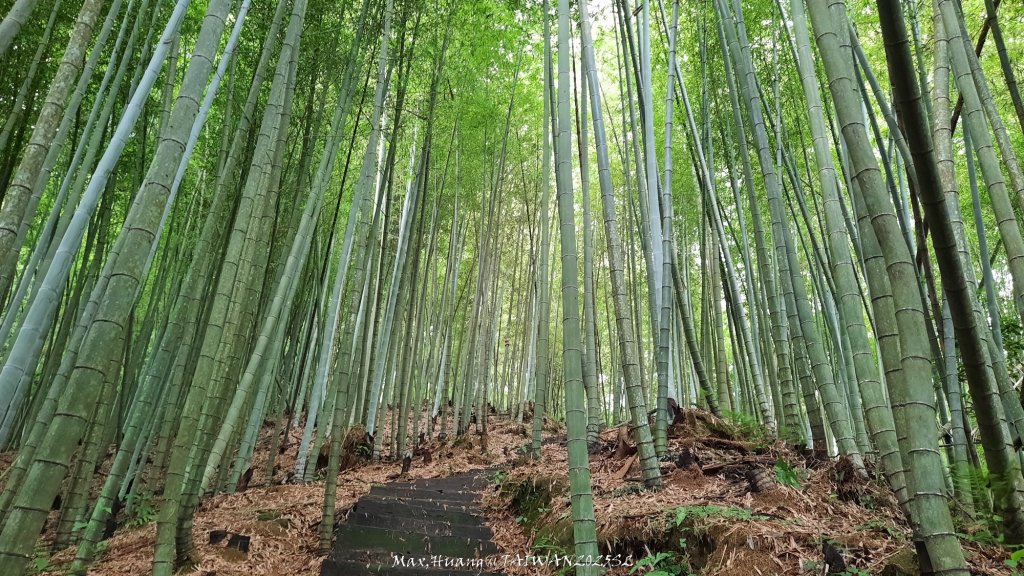 《雲林》望好望角｜石壁山嘉南雲峰步道(中側登山口）20250607_2805324