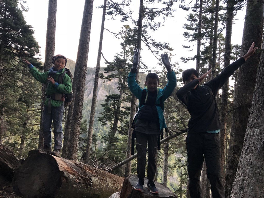 雪山 不下雪_532914