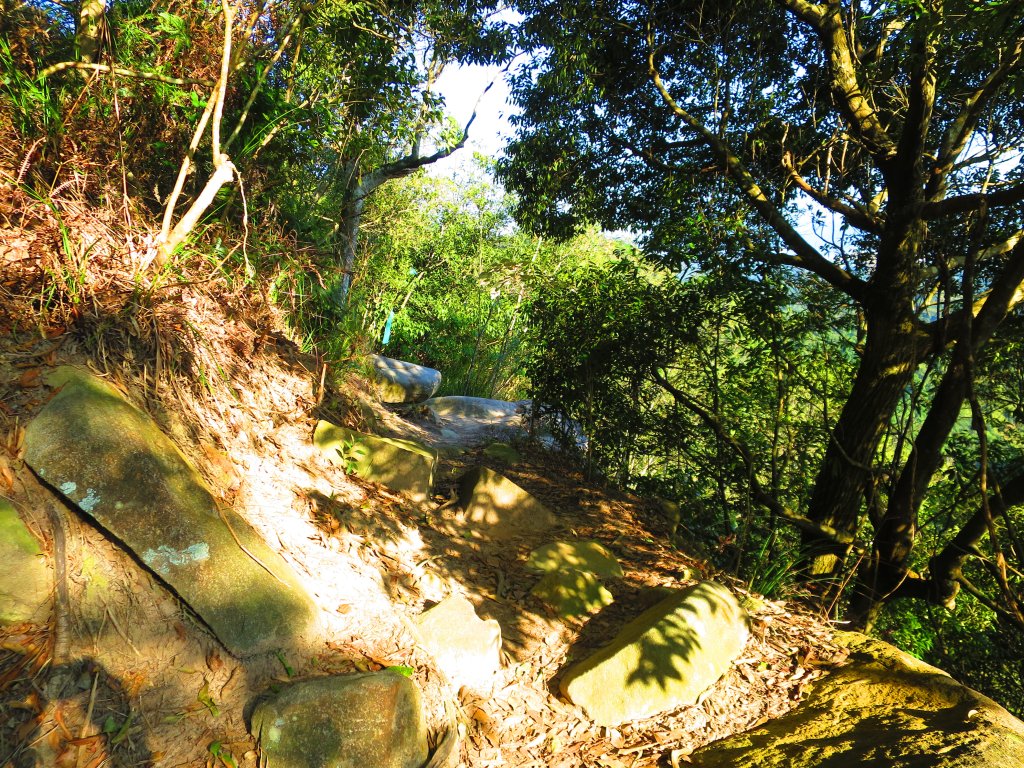 龍年首登的好選擇，鯉躍龍門，搭捷運來內湖爬三尖，鯉魚山、忠勇山、圓覺尖_2426540