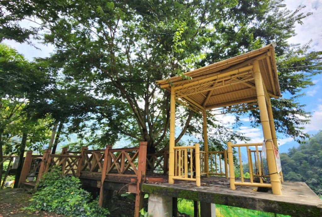 【中級山】隱藏版的大魔王，谷關第八雄，阿冷山，阿冷山前峰，阿冷山北峰_2745325