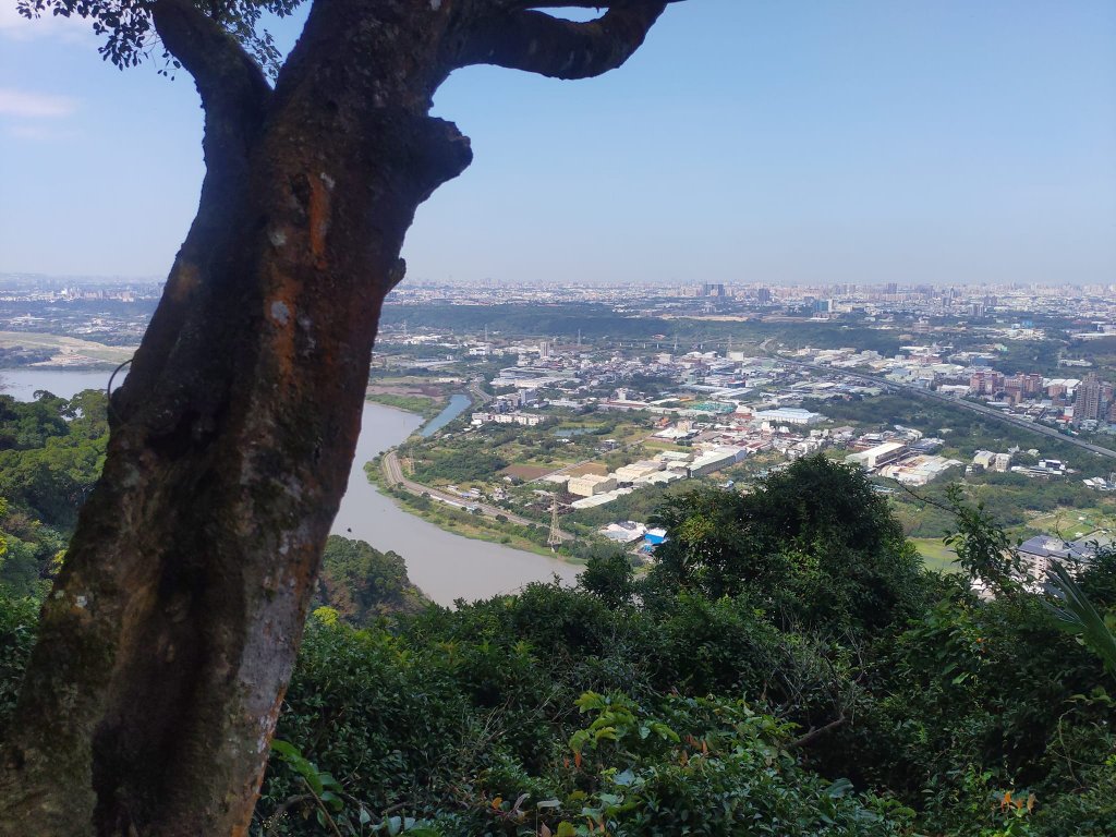 鳶山 彩壁_1661047