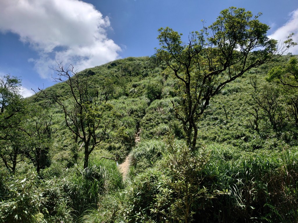 三角崙山（礁溪抹茶山）_1006738