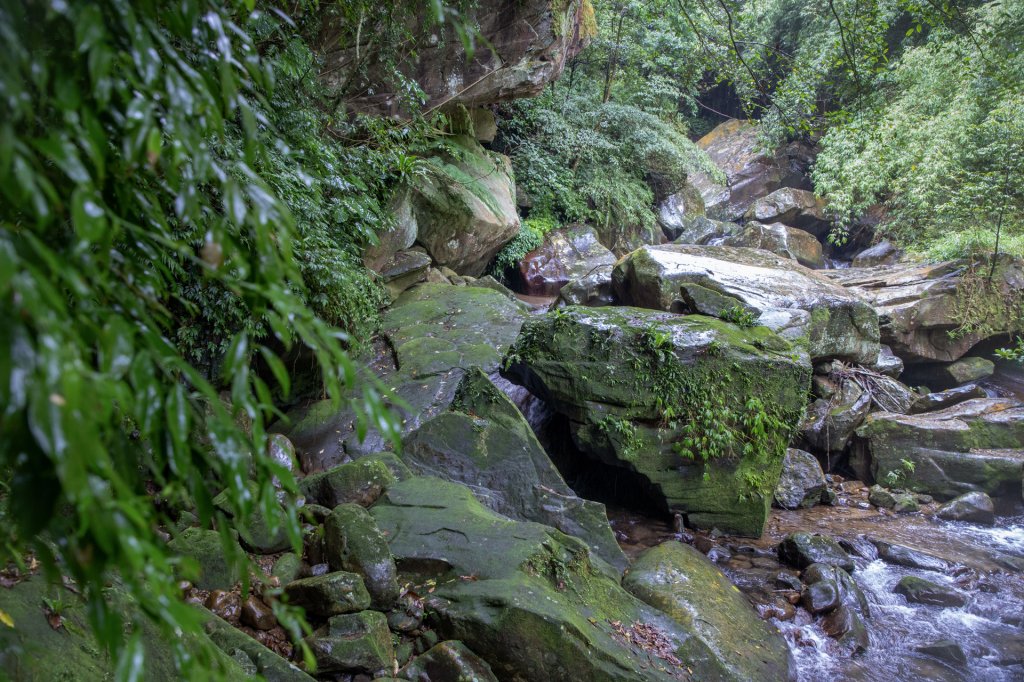 暖東峽谷/草嶺舊隧道_2816505