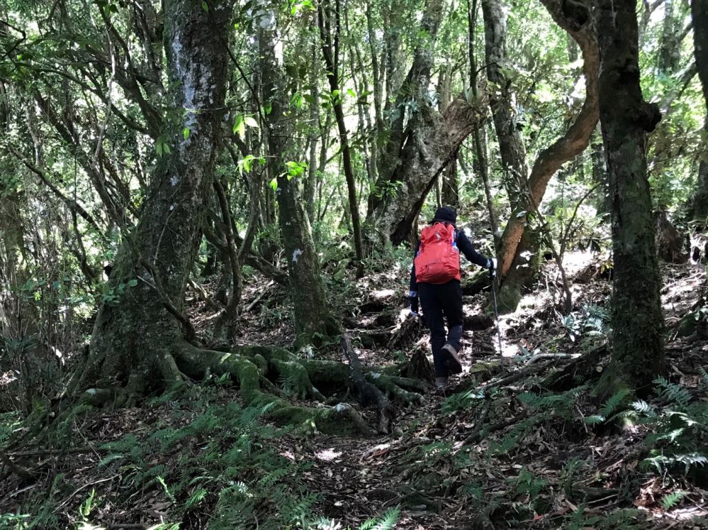 大混山連走李崠山_397941