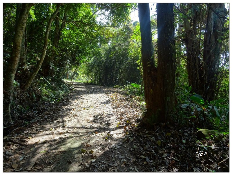 馬那邦山(小百岳)/上湖登山口_2427080