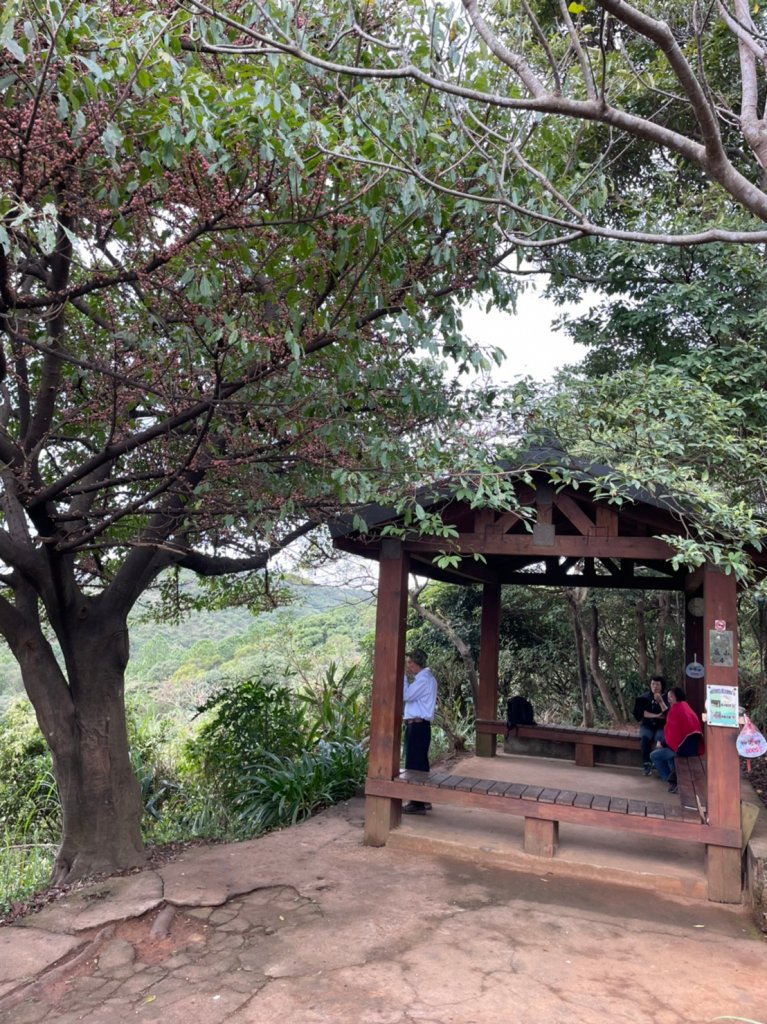 [桃園龜山]楓樹坑步道_1200578