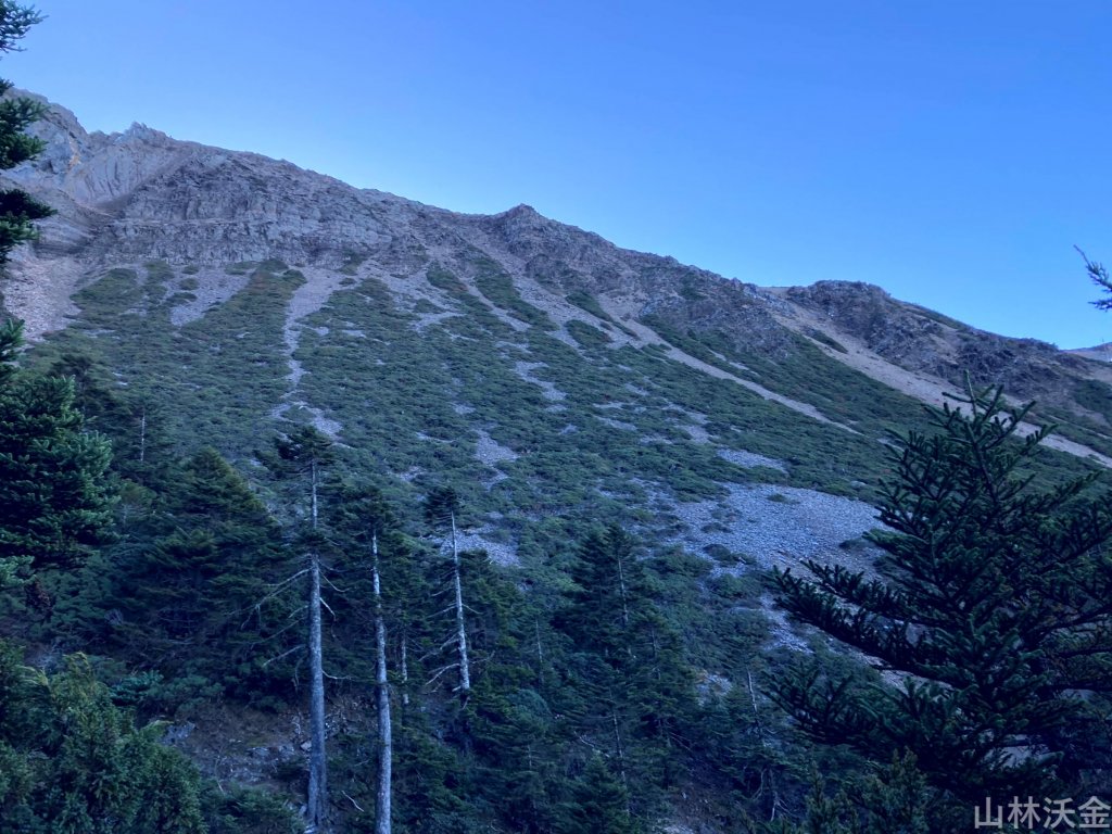2023-11-27 玉山主峰_2365015