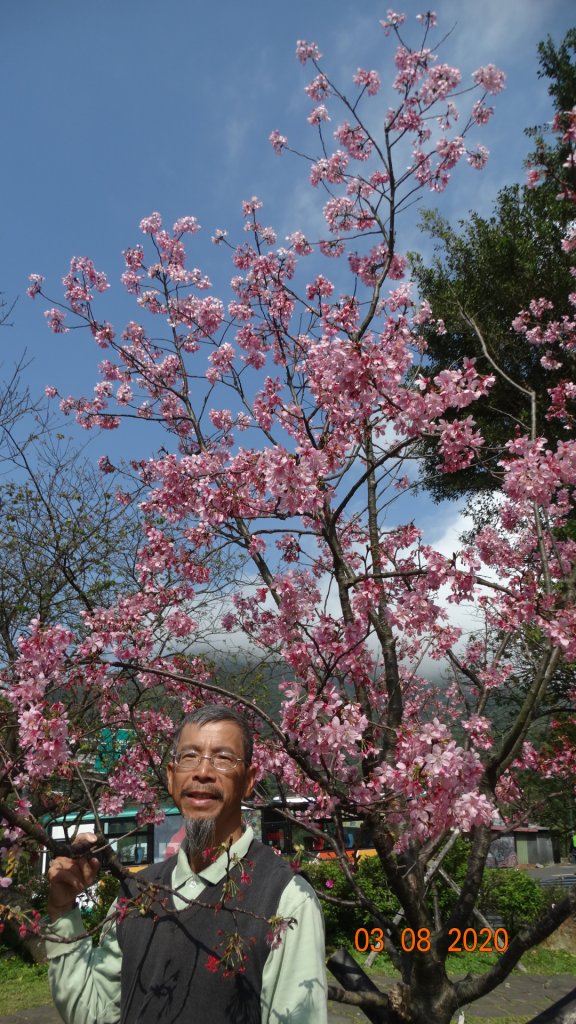 追花是簡單的快樂，賞花是恬淡的幸福。_871257