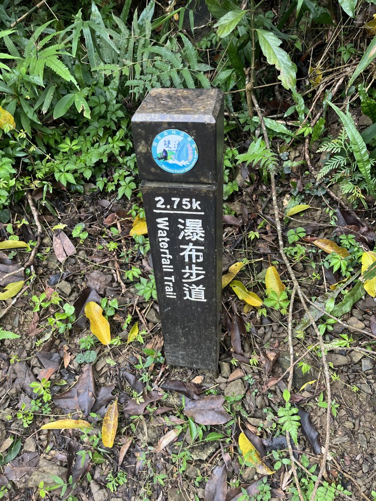 [屏步青雲 尋寶任務-03/10] 2024_0917 雙流國家森林遊樂區（瀑布步道）_2597780