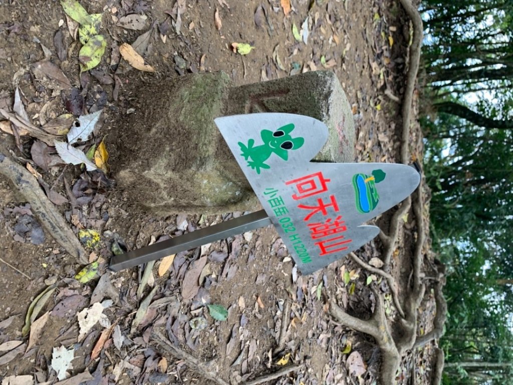 20210327好友一起走向天湖山封面圖