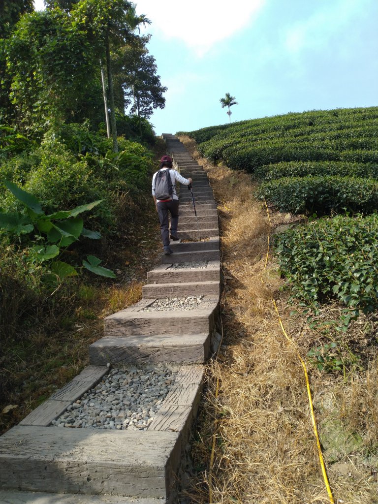 2020-2021 後棟仔 大尖山 二尖山_1527127