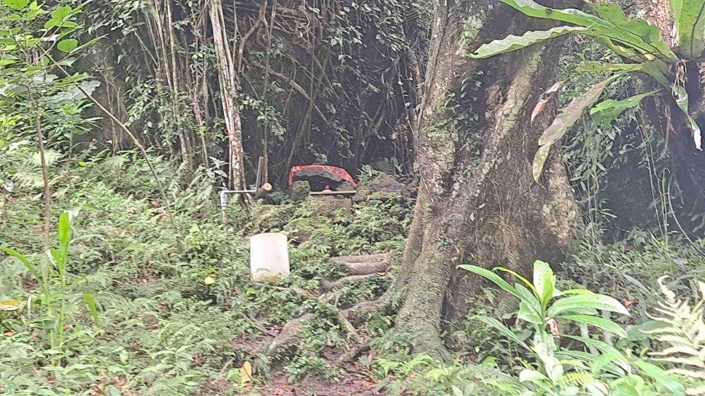 (7/10)關西赤柯山與東獅頭山_2258765