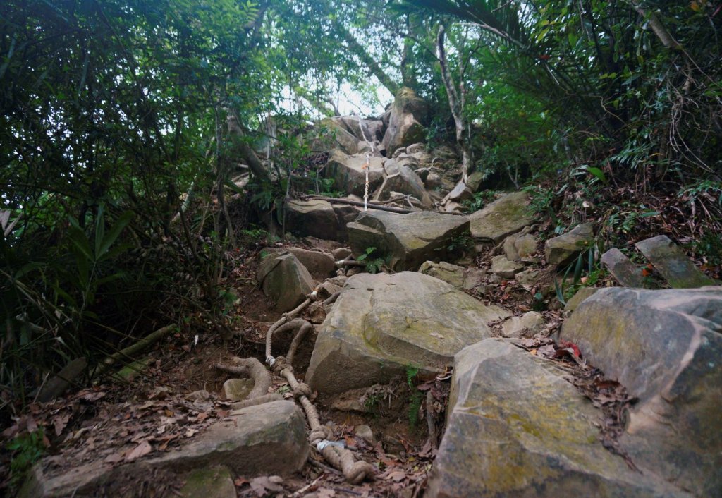 五寮尖登山步道_1383108