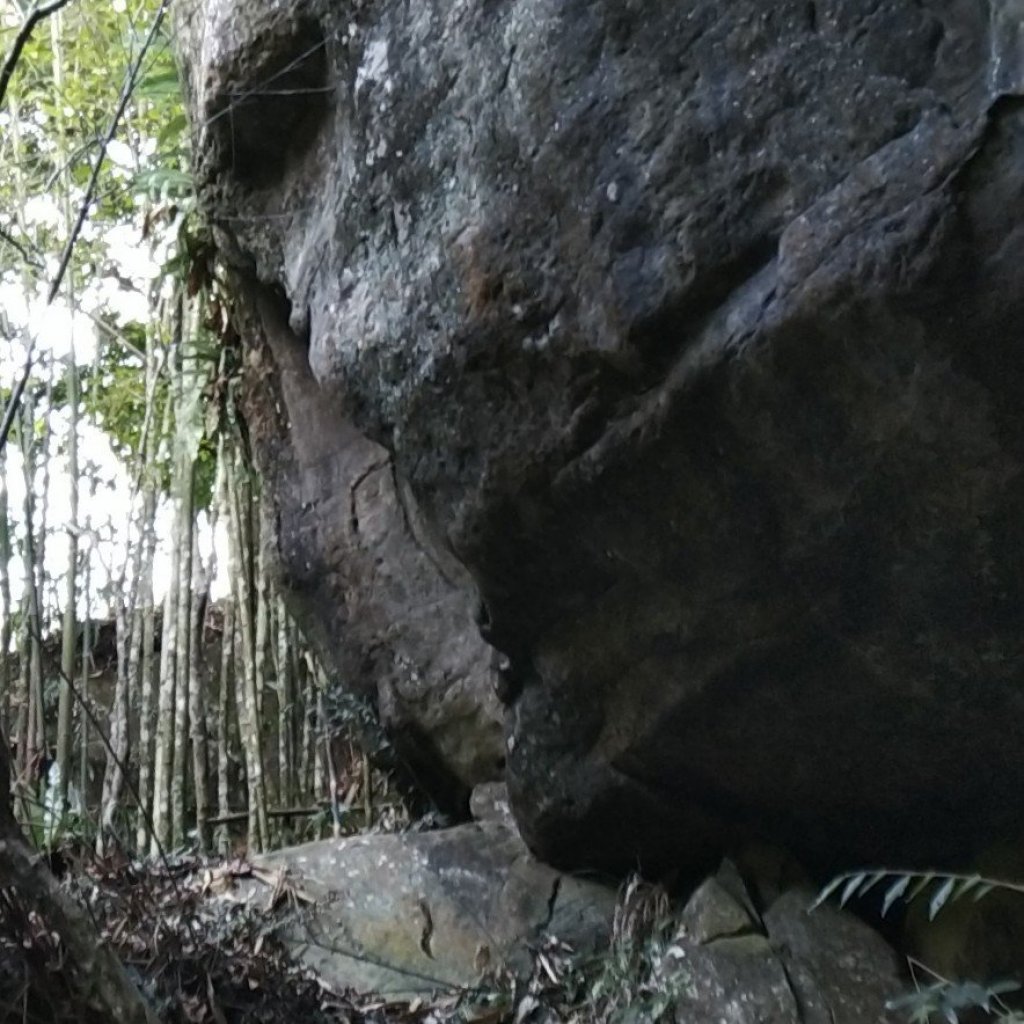 賞楓-風流洞步道_504083